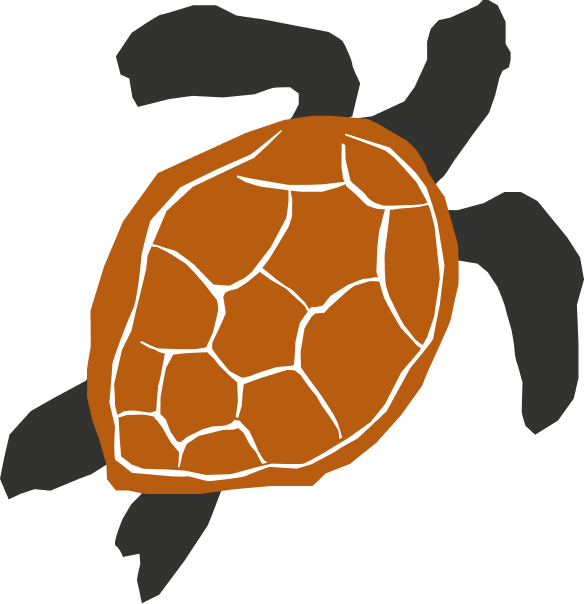Sea turtle